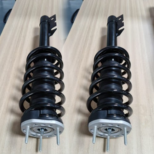 Pair front shock absorber - shock, assy